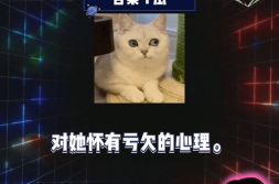 吃瓜娱乐八卦网红,娱乐八卦与网红文化的崛起与影响
