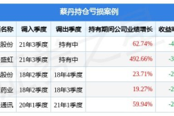 基金213003,业绩与策略深度解析