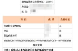 福建省公务员考试成绩查询,时间、流程及合格分数线详解”