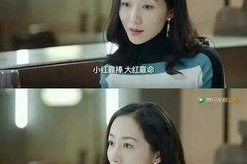 娱乐圈全员吃瓜小说推荐,揭秘明星背后的秘密与狂欢