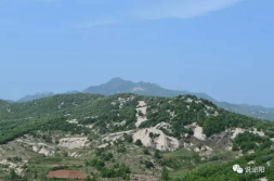 漫山遍野打一个生肖,象征纯洁与善良的生肖文化解读