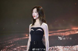 厦门娱乐圈,星光熠熠，魅力绽放